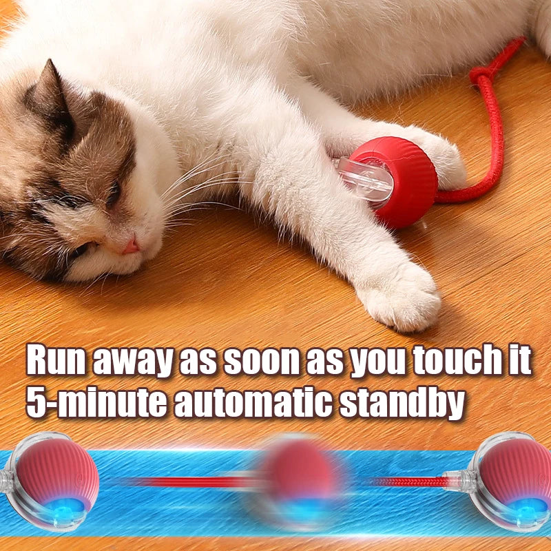 1PC Smart Cat Toys Automatic Rolling Ball Fake Tail Rechargeable Electric Pet Interactive Toy Cat Training Imitate Mouse Tail